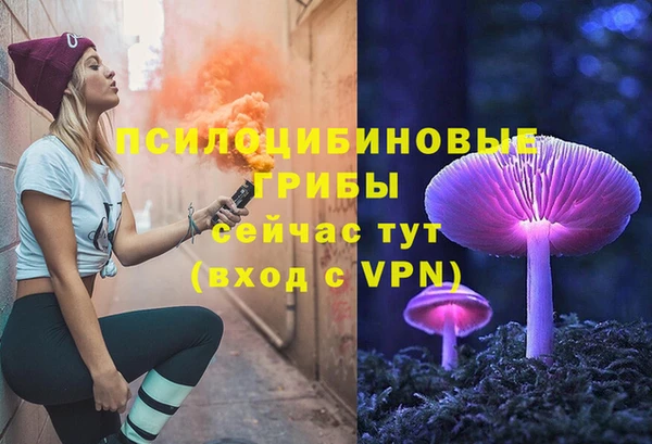 PSILOCYBIN Каменногорск