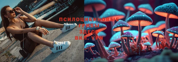 мяу мяу мука Наволоки